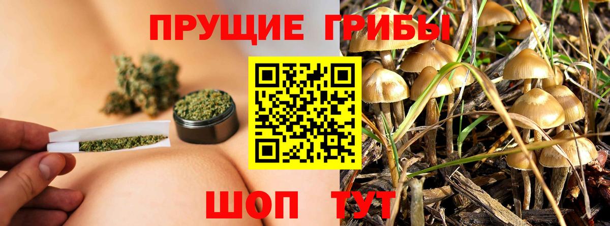 Галлюциногенные грибы Magic Shrooms Реутов