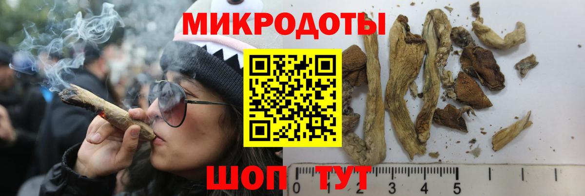 Галлюциногенные грибы мицелий  Галлюциногенные грибы прущие грибы  Реутов  Вход с VPN 